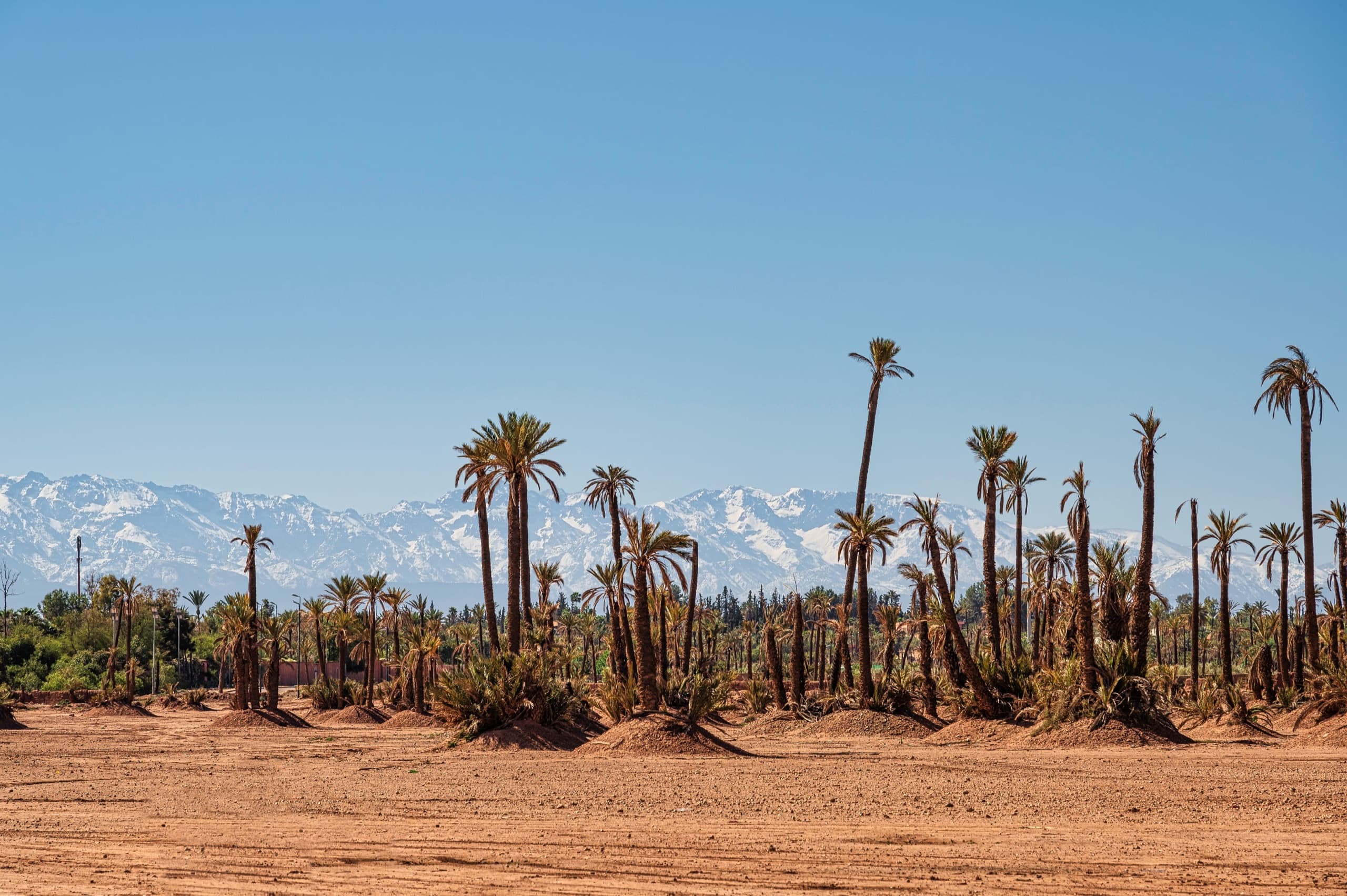 Expériences Atlas Royal Marrakech