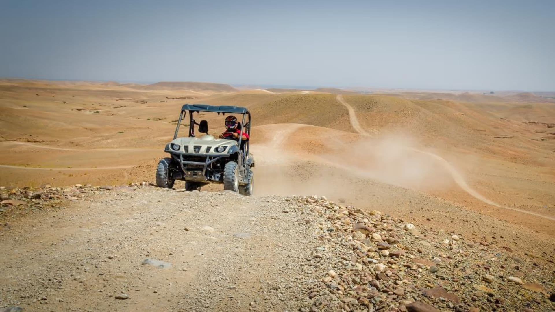 Quad & Buggy